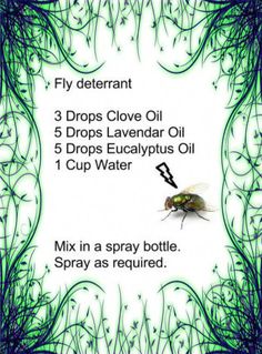 Homemade Fly Spray, Bug Spray Recipe, Fly Spray, Oil Remedies, Bug Spray, Essential Oil Diffuser Blends, Oil Diffuser Blends, Young Living Oils