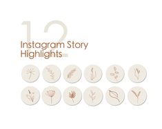 the instagram story highlights are shown in white and brown, with flowers on them