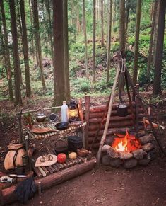 a fire pit in the middle of a forest filled with food and cooking utensils