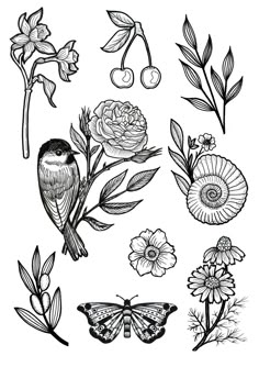 flowers and butterflies are drawn in black ink on white paper, with one bird sitting on the branch