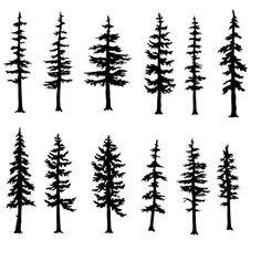 the silhouettes of pine trees on a white background