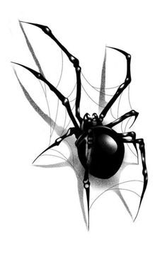 a black and white drawing of a spider