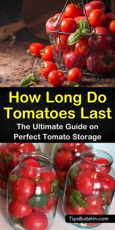 tomatoes in jars with text overlay how long do tomatoes last? the ultimate guide on perfect tomato storage