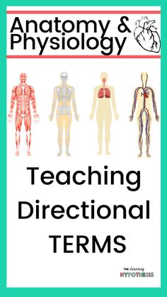 an image of teaching directional terms for anatomy and physioly with the words teaching directional terms