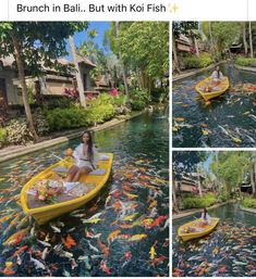 a woman in a yellow boat surrounded by fish