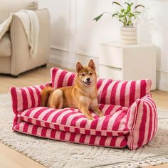 a brown dog laying on top of a red and white striped bed in a living room