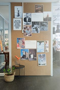 a cork board with pictures on it and plants in a pot next to the wall