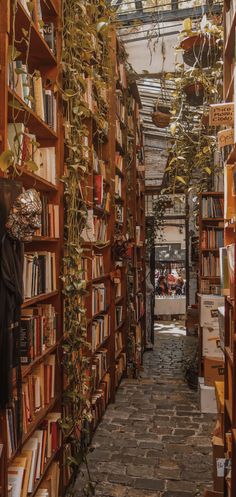 an alley way with lots of books and plants growing on the shelves in front of it