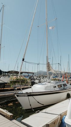 bride and groom sailboat elopement in kelowna, bc Wedding Sailboat, Sailboat Elopement, Okanagan Wedding, Sailboat Wedding, Okanagan Lake, Beautiful Sunshine, Elopement Photographer, In The Middle, The Middle