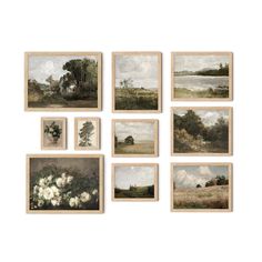 six framed paintings with white flowers on them