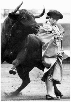 a young boy is trying to ride a bull