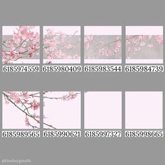 four different images of pink flowers on a gray background with the numbers in each photo