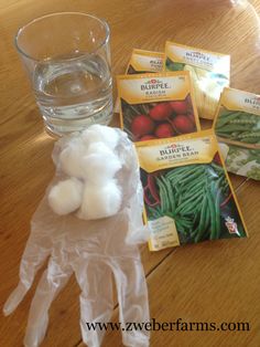 some cotton balls are sitting on the table next to a glass of water and seed packets