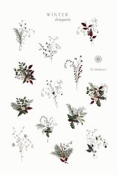 an image of christmas flowers and berries on white paper with the words winter bouquets