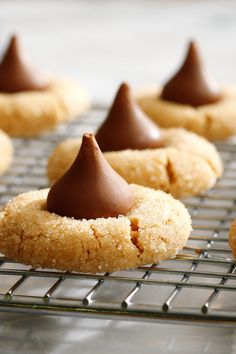 some cookies with chocolate on top are cooling on a wire rack in front of the camera