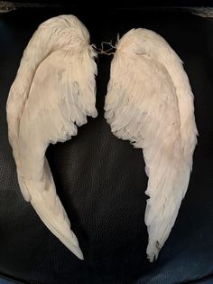 Beautiful Antique Feather wings So many ways to use these Questions? Please convo me Thank you for looking Angel Wings Victoria Secret, Vintage Angel Costume, Angel Wings Aesthetic, Angel Wings Fashion, Angelic Outfits, Wings Aesthetic, Angel Tears, Swan Wings