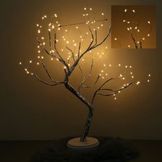 a lighted tree with white lights in the shape of branches on a round base, against a dark background