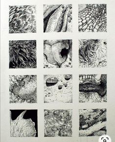 six different images of animals and plants in black and white ink, each with an animal's head