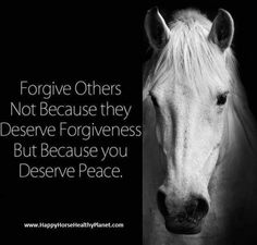 a white horse standing in front of a black background with the words, forgive others not because