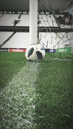 a soccer ball sitting on top of a lush green field next to a goalie net