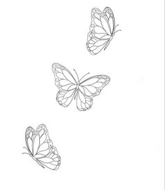 three butterflies flying side by side on a white background, one is black and the other is