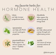 Medicinal Herbs Remedies, Healthy Period, Progesterone Levels, Hormone Support, Hormone Balance, Herbs For Health