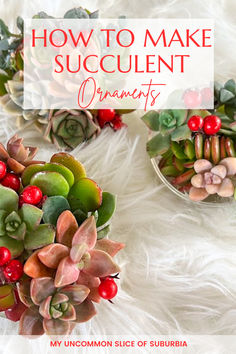 succulents are arranged in small bowls with text overlay that says how to make succulent arrangements