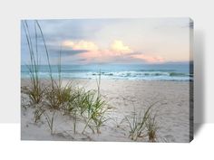 the beach is covered in sand and grass as the sun goes down over the ocean