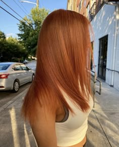 Dyed Natural Hair For Black Women Brown, Brown And Ginger Hair Black Women, Light Brown Ginger Hair Black Women, Honey Brown And Ginger Hair, Silk Press Hair Color Ideas, Hair Color Ideas Ginger Brown, Black With Ginger Hair, Autumn Color Hair Black Women, Ginger On Black Hair