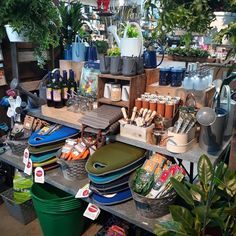 many pots and pans are sitting on a table in a garden shop with plants