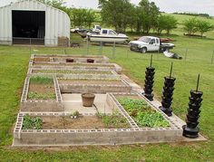 an outdoor vegetable garden in the middle of a field