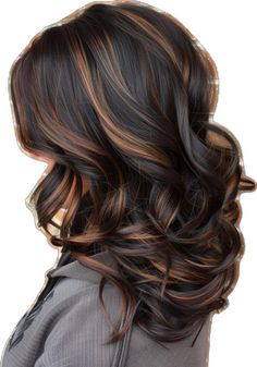 Dark Brown Black Balayage Hair, Black Hair And Highlights Ideas, Dark Brown Hair Ideas With Highlights, Bronze Highlights On Black Hair, Two Toned Dark Hair, Thick Highlights Black Hair, Black Hair Brown Peekaboo, Black Skin Hair Color Ideas, Black Fall Hair Color