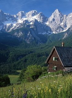 a cabin in the mountains with snow capped mountains behind it and wildflowers on the foreground