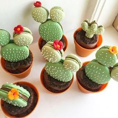 some cupcakes with green frosting and flowers on them sitting in small pots