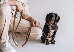 a man kneeling down next to a dog on a leash