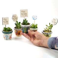 a hand is holding some plants in small pots with name tags on them and place cards for each plant