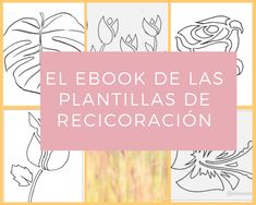 the cover of a book with flowers and plants drawn on it, in different colors