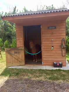 a horse standing in the doorway of a stable