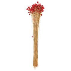 a bunch of red flowers sitting on top of a wooden stick