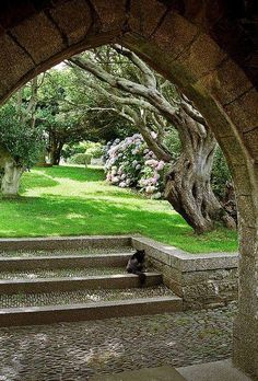 a cat is sitting on the steps under an arch in a garden with flowers and trees