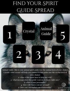 an animal's face with the words, find your spirit guide spread