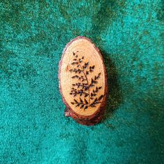 a piece of wood that has some sort of plant on it, sitting on a green surface