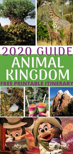 the zoo guide animal kingdom is featured in this book