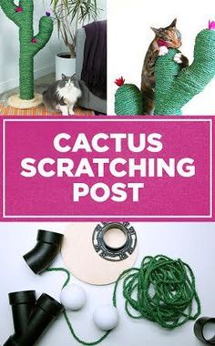 the cactus scratching post is made from yarn and plastic balls, with two cats sitting on it