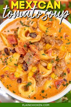 mexican tortilla soup in a white bowl with the title overlay above it