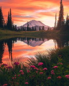 a mountain is reflected in the still water of a lake at sunset with pink flowers