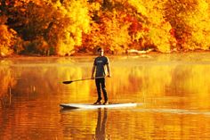 a man is paddling on a paddle board in the water with autumn foliage behind him