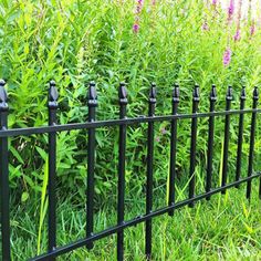 a black iron fence in front of some green grass and purple flowers on the other side