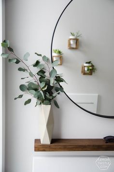 a plant in a vase sitting on a shelf next to a mirror and some plants