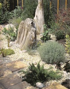 an outdoor garden with rocks and plants